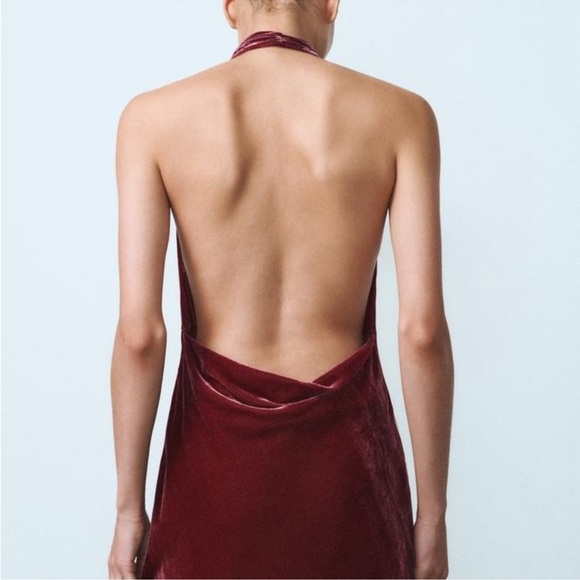 NWOT Zara Raspberry Pink Velvet Maxi Dress Halter Neck Open Back Size XS - Picture 6 of 9